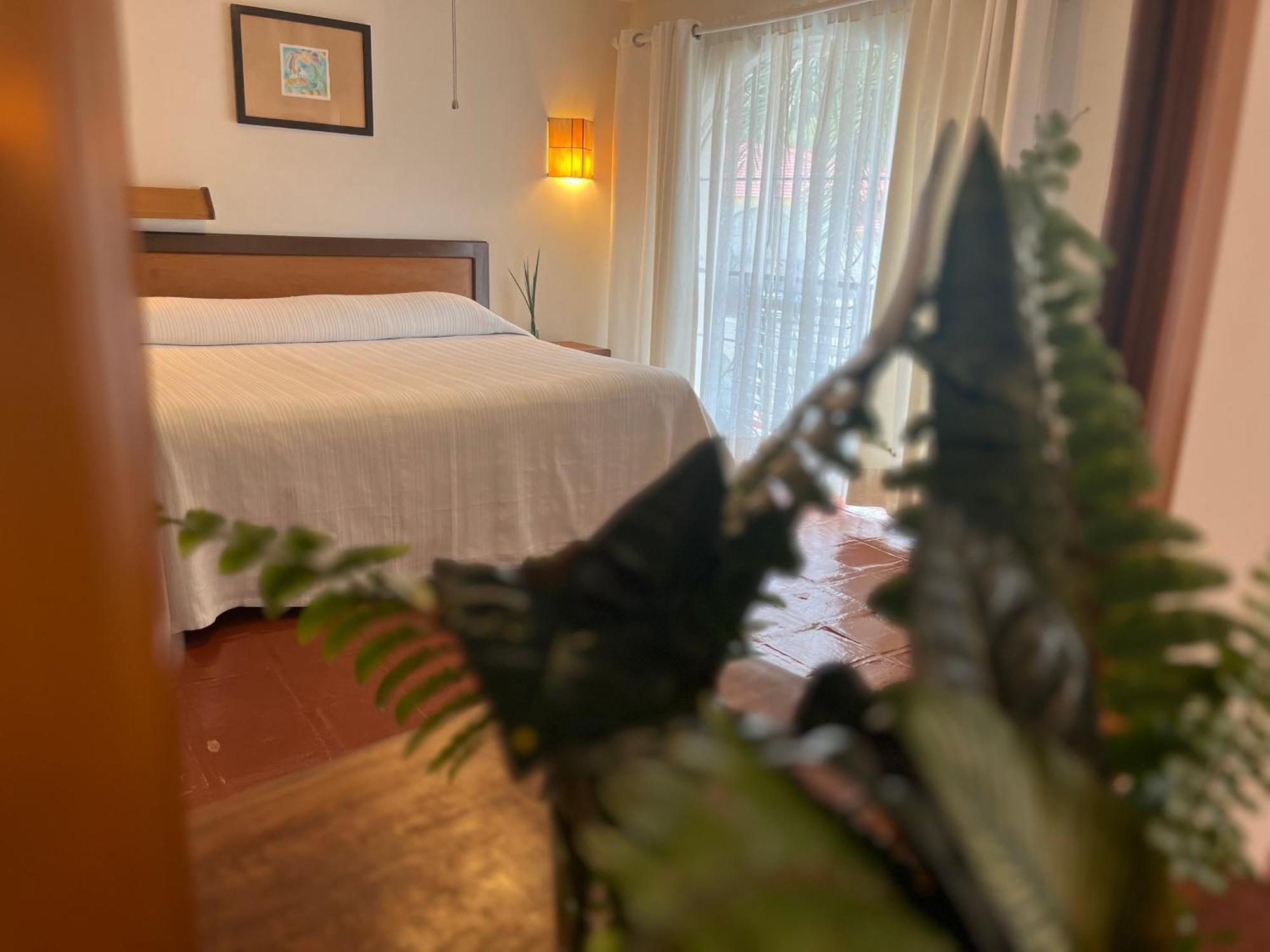 Hotel Ilebal Cuernavaca Centro - Lugar Con Encanto! Extérieur photo