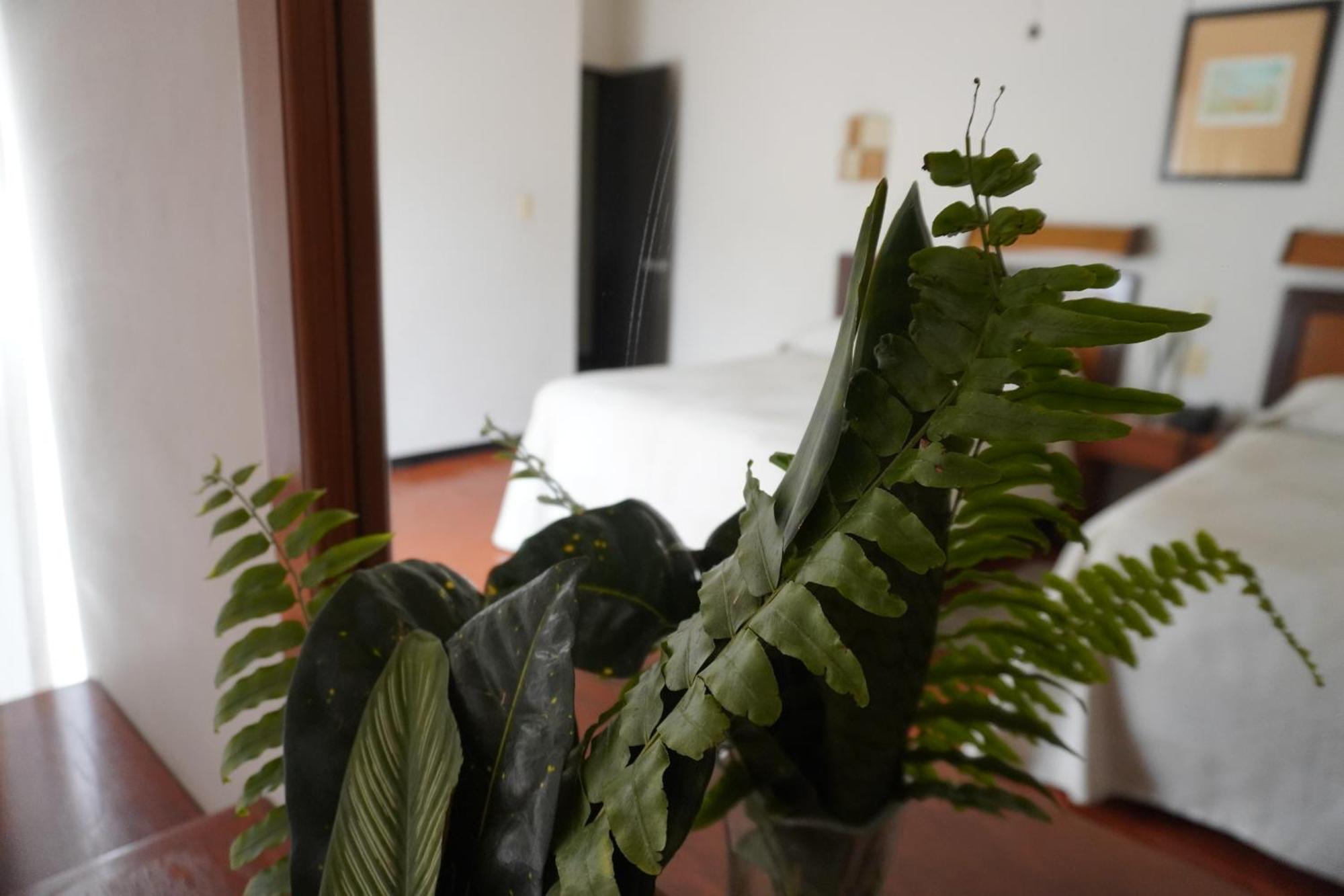 Hotel Ilebal Cuernavaca Centro - Lugar Con Encanto! Extérieur photo